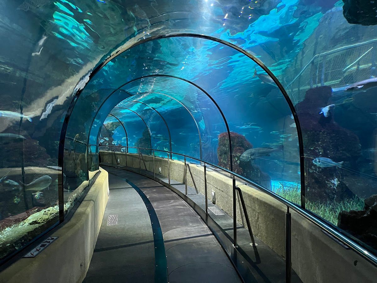 Que ver en Barcelona - Aquarium de Barcelona