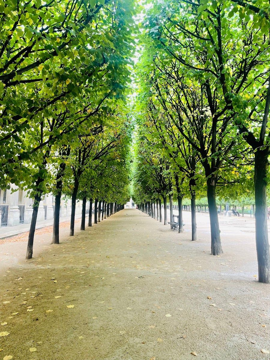 Que ver en Paris - Jardín del Palais-Royal