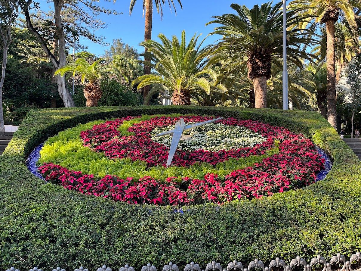 Que ver en Santa Cruz de Tenerife - Reloj de flores