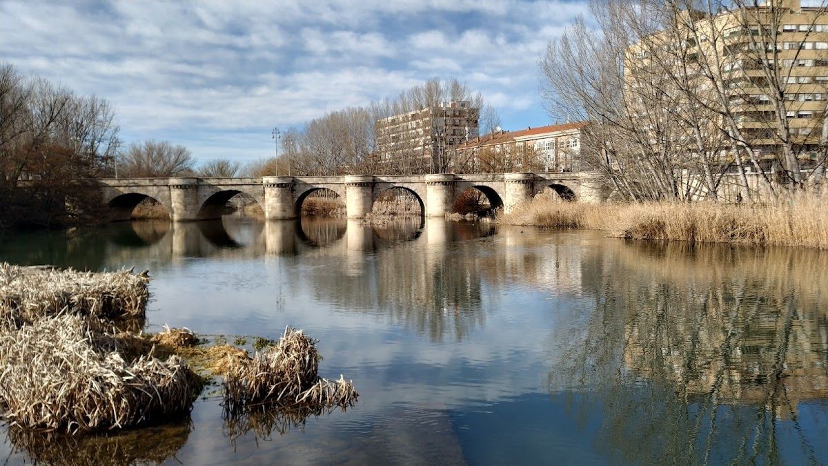 Que ver en Palencia - Puente Mayor