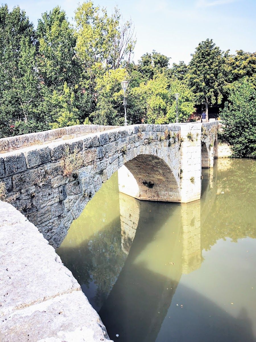 Que ver en Palencia - Puente "Puentecillas"